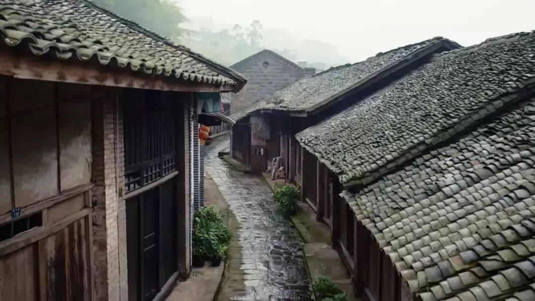 天上掉下个小猪猪